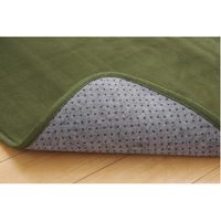 イケヒコ・コーポレーション ピオニーHCC IT GN 約185×185cm 1380000000000 1枚