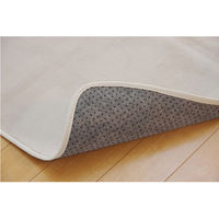 イケヒコ・コーポレーション ピオニーHCC IT IV 約200×300cm 1380000001364 1枚