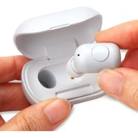 PGA Bluetooth(R) 5.0搭載 片耳ワイヤレスイヤホン 充電ケース付 ホワイト PG-BTE13BC2WH 1個