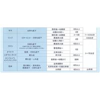 生科研 カルタス 1kg 2057142 1個（直送品）