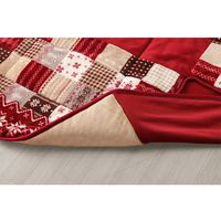 イケヒコ リーチェ こたつ布団 大判省スぺース 1900×2500mm レッド 1171400244621 1枚（直送品）