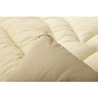 イケヒコ 掛け布団 滅ダニ ダブルロング 1900×2100mm - 1202890022402 1枚（直送品）