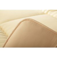 イケヒコ 敷き布団 滅ダニ セミダブルロング 1200×2100mm - 1202890025102 1枚（直送品）