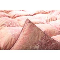 イケヒコ 羽毛掛布団 ベリーズ シングルロング 1500×2100mm ピンク 1201851223502 1枚（直送品）