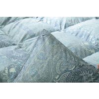 イケヒコ 羽毛掛布団 ベリーズ ダブルロング 1900×2100mm ブルー 1201851042402 1枚（直送品）