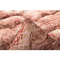 イケヒコ 羽毛掛布団 ローゼ ダブルロング 1900×2100mm ピンク 1202471222402 1枚（直送品）
