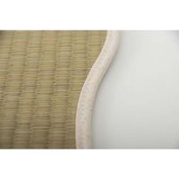 イケヒコ・コーポレーション 足さらっとインソールPro 25cm 1360100010501 1枚（直送品）