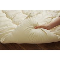 イケヒコ ヌード こたつ布団 2000×2500mm ベージュ 1330720020802 1枚（直送品）