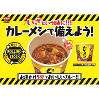 日清食品 日清カレーメシ シーフード カップライス カップご飯 1箱（6食入）
