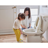 サンコー toilet キレイまもりマス 60個入 555492 1個（直送品）