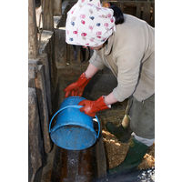 ショーワグローブ ショーワ 塩化ビニール手袋 No620ニューロングビニローブ オレンジ Lサイズ NO620-L 1双 383-9974（直送品）