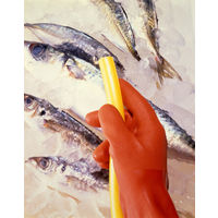 ショーワ 塩化ビニール手袋 まとめ買い 簡易包装ニュービニローブ(10双入) オレンジ Lサイズ NO610-L10P 1袋(10双)（直送品）