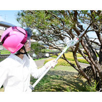 YAMAZEN ガーデンポールトリマー&ガーデンソー 着脱式伸縮延長ポール付 4WAYセット ガーデンソPHS-3000 1台