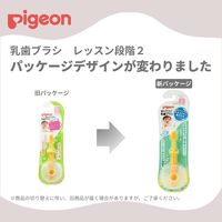 ピジョン 乳歯ブラシ レッスン段階2 1本