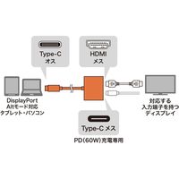 サンワサプライ USB Type C-HDMI変換アダプタ(4K/60Hz/PD対応) AD-ALCPHDPD 1個（直送品）