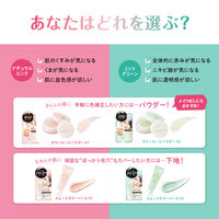 常盤薬品工業 毛穴パテ職人 カラールースパウダー 02 4964596700217 6個（直送品）