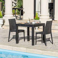 三栄コーポレーション 屋外設置、水洗い可能 ラタン調ガーデンチェア　肘無し2脚セット A1--PYXCHR2S_AS １セット(２脚）（直送品）