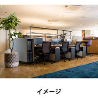 【アウトレット】【軒先渡し】【アウトレット】オリバー オフィスチェア　グレー　テンションファブリック S・CN-B353・AC・GR 1脚（直送品）