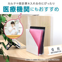 セキセイ シールックワイドフォルダー ピンク CLK-2404-21 1セット(20枚)