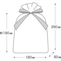 ヘッズ 2重不織布リボン付バッグ-XS/クリーム DFC-RBXS 1セット(100枚:20枚×5組)