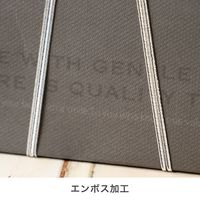 ヘッズ ニューモダン舟形ペーパーバッグ-2 30枚(10枚×3) NMD-B2P 1セット(30枚入)（直送品）