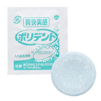 入れ歯洗浄剤 爽快実感ポリデント 99.9%除菌 108錠 Haleonジャパン