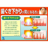 歯磨き粉 トマリナ 歯ぐきさがりが気になる方に 薬用ハミガキ ハーバルミント 90g 1セット（2本）小林製薬 歯周病予防