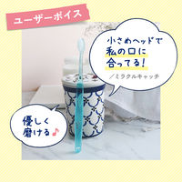 Ora2（オーラツー）ミー トラベルセット 歯ブラシ・歯磨き粉 ソフトケースタイプ 携帯用 ミニ 1セット（1個×2）サンスター