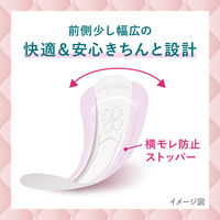 吸水ライナー 微量用 5cc ロリエ さらピュア吸水 超吸収スリム 17cm 1セット（40枚×3個） 花王