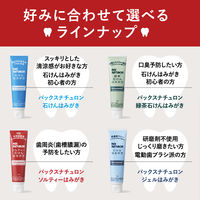 パックスナチュロン ソルティー石けんはみがき 120g 1セット(2個) 太陽油脂 医薬部外品 薬用 歯槽膿漏 歯ぐきケア 天然塩配合 無添加 泡立ち控えめ