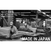 セルタン　座椅子　和楽の雲　上タイプ　幅540×奥行730～1380×高さ120～700mm　PVCレッド　（直送品）