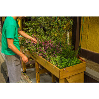 タカショー　ベジトラグ　ウォールハガー　プランター　Lサイズ　幅1800mm　ブラウン　（直送品）