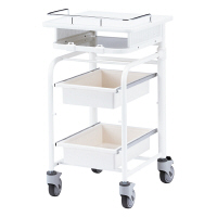 サンワサプライ　上下昇降電子カルテカート（ホワイト・W500×D558mm）　RAC-HP103WN　（直送品）