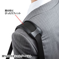 サンワサプライ エグゼクティブビジネスバッグPRO ダブル ブラック/15.6インチワイドまで対応 BAG-EXE8 1個（直送品）