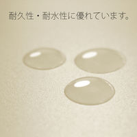 プラス PPフラットファイルA4S厚とじIV 98343 1冊