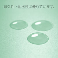 プラス PPフラットファイルB5SBL 98365 1冊