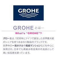 カクダイ ガオナ マッサージシャワーホースセット グローエ ストップ機能付 4段切替 ホース1.6m 160cm GA-FH027 1個