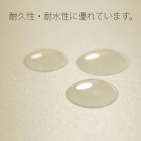 プラス PPフラットファイルA4SIV 98293 1冊