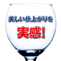 フィニッシュ リンス 250mL 食洗機専用乾燥仕上剤 1セット（1個×2）