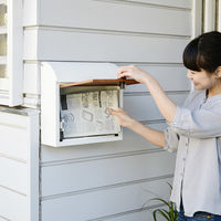 山善 YAMAZEN メールボックス WP1603D(WH/WD) 1台（直送品）