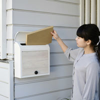 YAMAZEN メールボックス WP1603D(WH/WWD) 1台