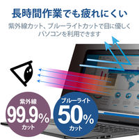パソコン 用 のぞき見防止フィルター 13.3Wインチ(16:9) ブルーライトカット EF-PFK133W3E エレコム 1個（直送品）
