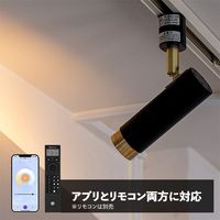 TIC 【リモコンセット】ノーシュ 1灯スポットライト TC-1022RC-BK 1個（直送品）