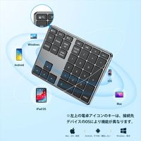 テンキー Bluetoothテンキーボード 超薄型 マルチペアリング Type-C充電式 IC-KP10 ブラック iClever