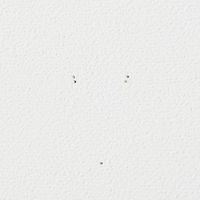 無印良品 壁に付けられる家具箱 オーク材突板 ライトグレー88cm 1セット（2個） 良品計画