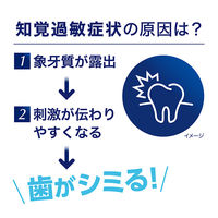 シュミテクト やさしく歯周ケア歯ブラシ 3次元フィット 知覚過敏ケア 薄型レギュラー やわらかめ  1セット（3本）Haleonジャパン