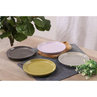 スタッキングプレート　Φ２０５ｍｍ　アリビオ　ＰＵ 77494 1箱（6個入り） 不二貿易（直送品）