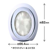 ファブリーズ 芳香剤玄関用 消臭+抗菌 ホワイトティー&シトラス 詰替入り本体ケース 1セット（1個×3） P＆G