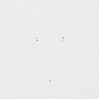 無印良品 壁に付けられる家具フック ウォールナット材 1セット（4個） 良品計画