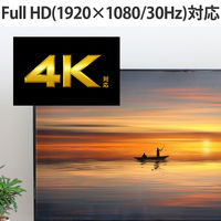 HDMI ビデオキャプチャーボード USB-A・C対応 1080P 30Hz AD-HDMICAPBK 1個（直送品）